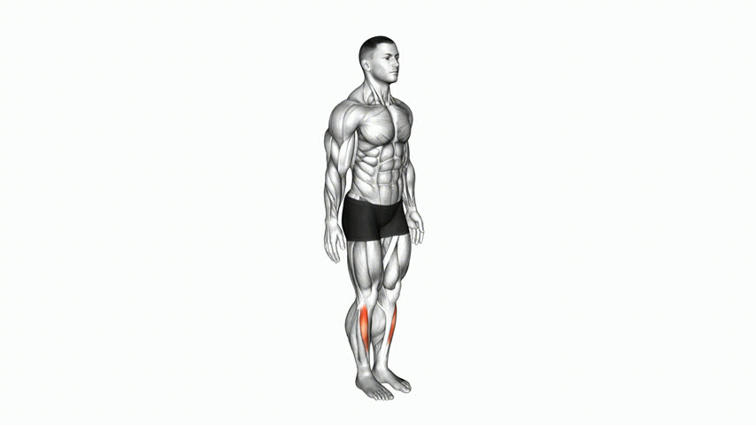Flexão Dorsal de Tornozelo FIX