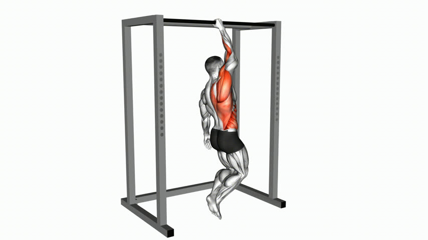 Barra Fixa Unilateral Assistida