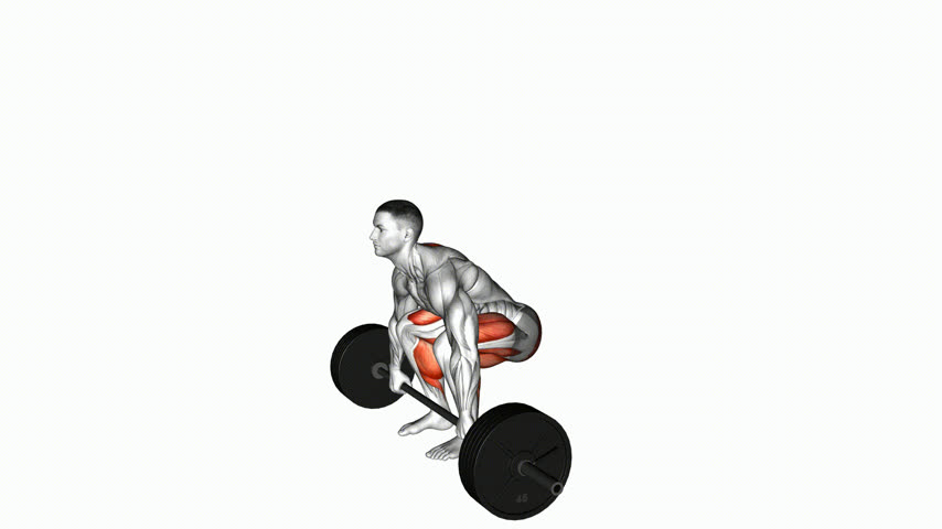 Levantamento Terra com Barra Axle
