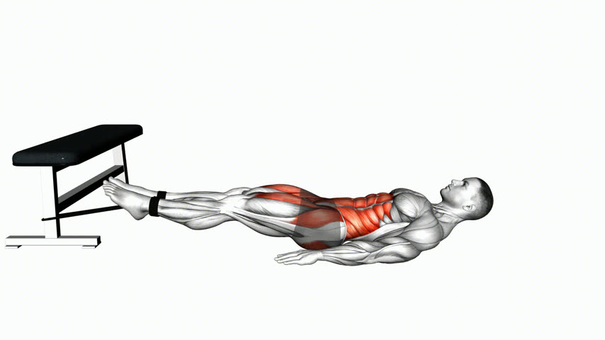 Abdominal Canivete com Elástico