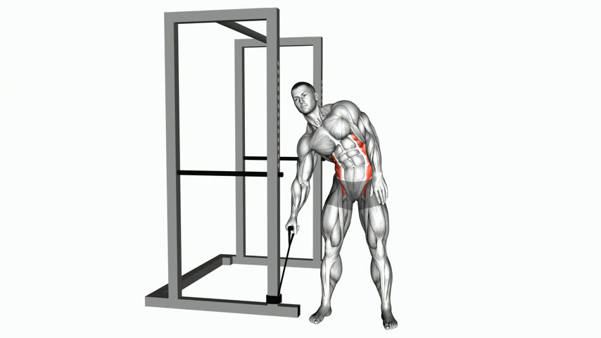 Flexão Lateral com Elástico