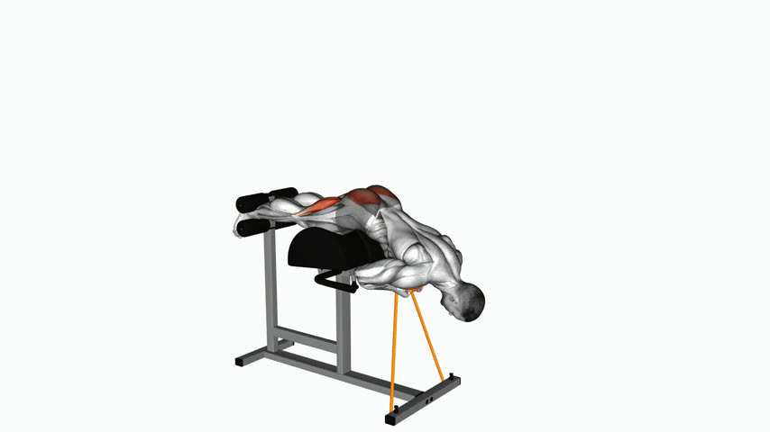 Glute Ham Raise com Elástico (Versão 2)