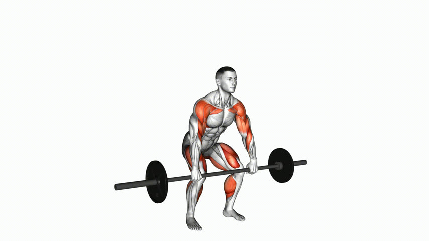 Hang Clean Abaixo dos Joelhos com Barra