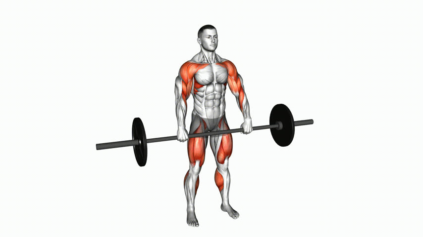 Hang Clean com Barra