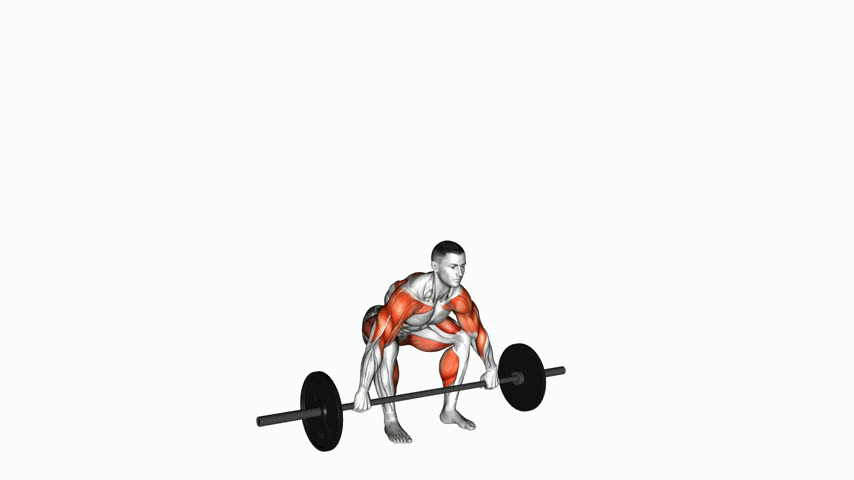 Hang Snatch com Barra