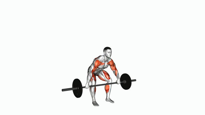 Hang Snatch com Barra