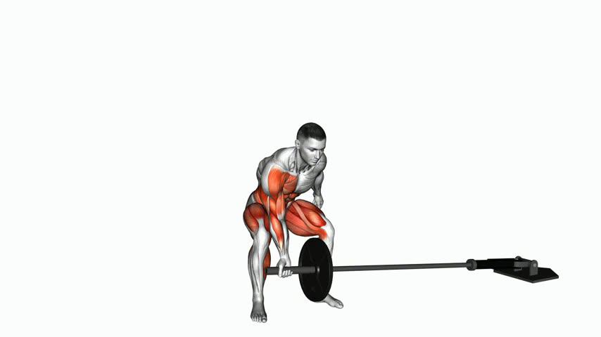 Clean and Press Unilateral com Rotação com Barra
