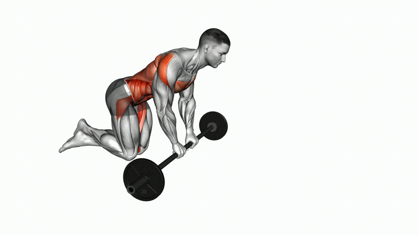 Rollout Abdominal com Barra