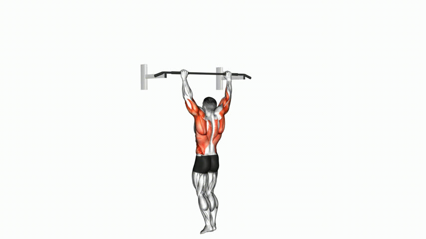 Muscle Up com Peso Corporal (Versão 2)