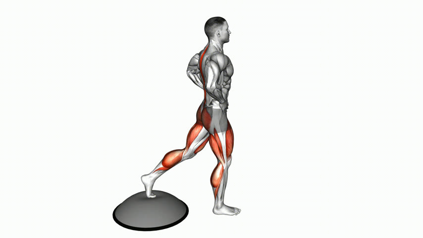 Bom Dia Unilateral no Bosu