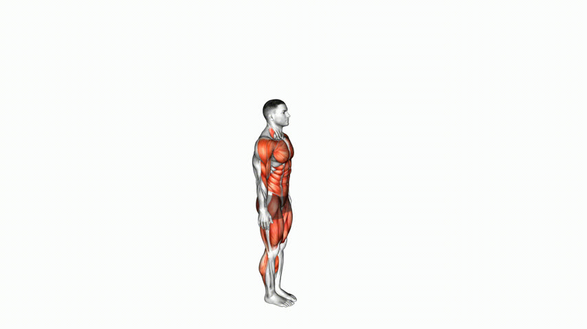 Burpee
