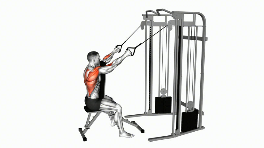 Remada Alta na Polia com Apoio de Peito