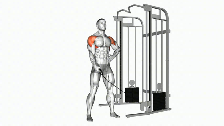 Elevação Lateral Unilateral na Polia