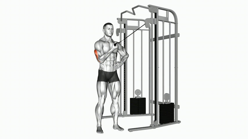 Tríceps na Polia Lateral Unilateral (Pushdown)