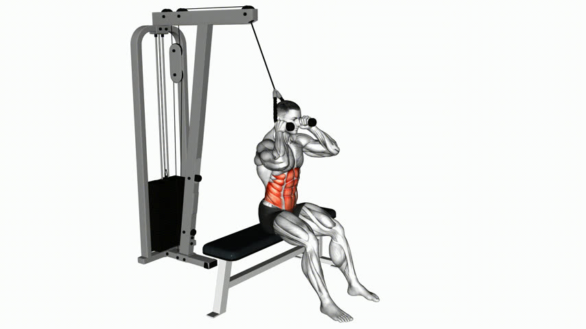 Abdominal Crunch Sentado na Polia