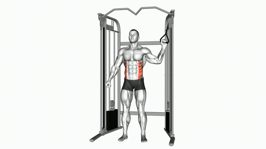 Abdominal Crunch Serrátil (Oblíquos) Unilateral em Pé na Polia