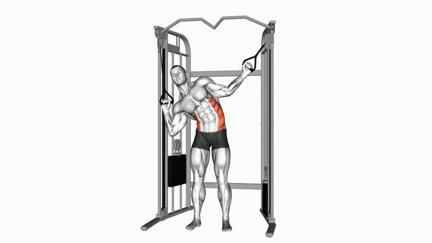 Abdominal Crunch Serrátil (Oblíquos) em Pé na Polia