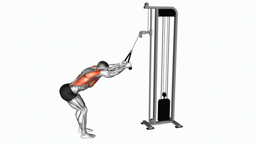 Pulldown com Braços Estendidos na Polia (com Corda)