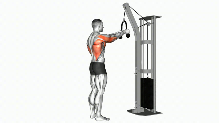 Pulldown com Braços Estendidos na Polia (com a Corda)