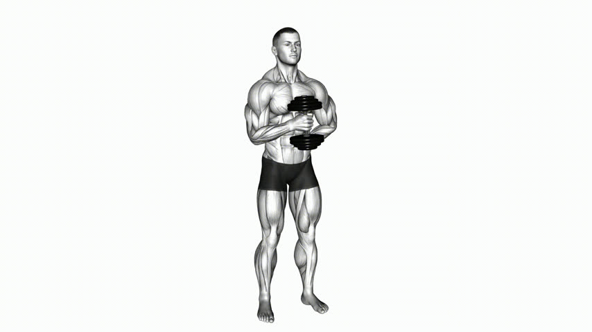 Rotação Externa com Halter