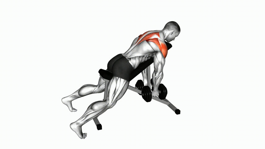 Elevação Lateral Posterior Inclinada com Halteres