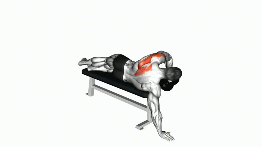 Deltoide Posterior Unilateral Deitado com Halter