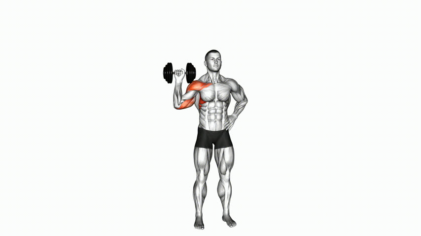 Desenvolvimento Unilateral com Halter (Versão 2)