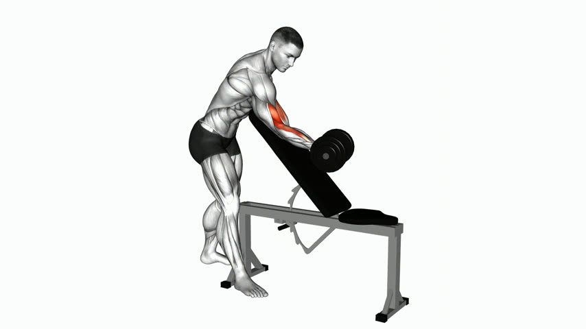 Rosca Zottman Scott Unilateral com Halter