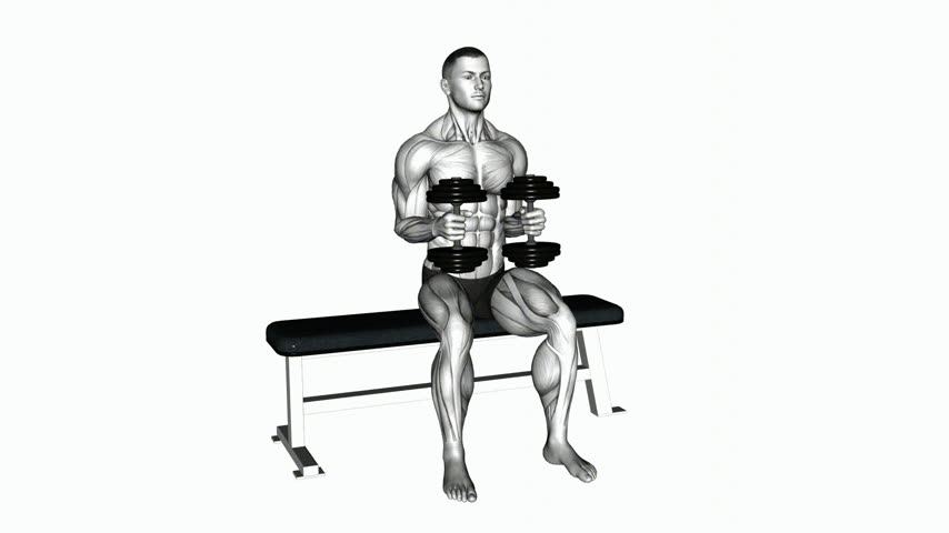 Rotação Externa Sentado com Halter