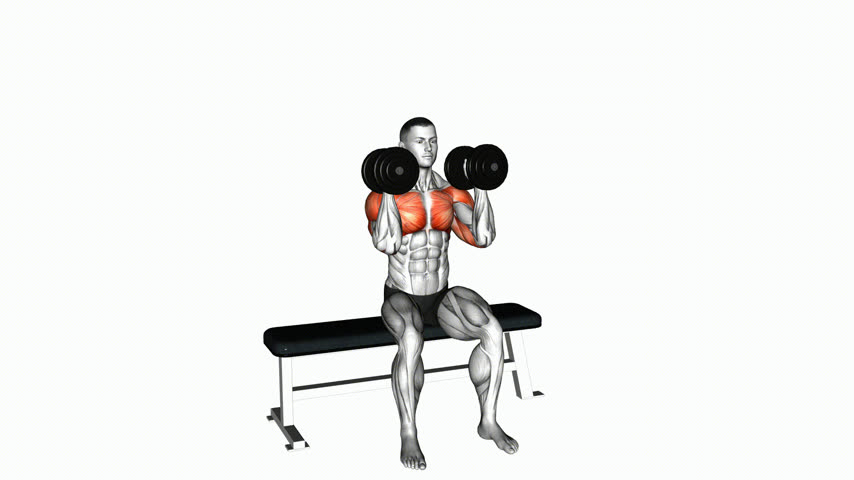 Desenvolvimento Arnold Invertido Sentado com Halteres