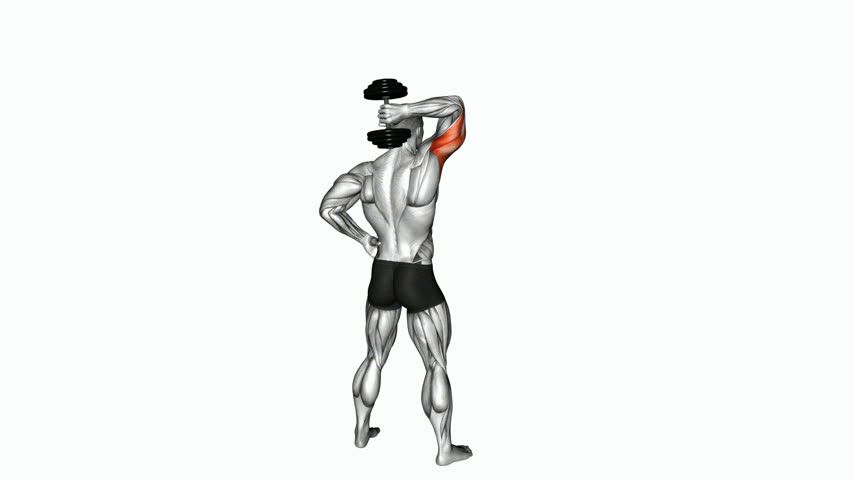 Extensão de Tríceps Unilateral em Pé com Halter