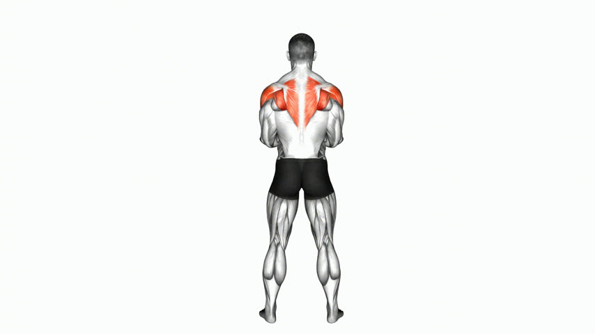 Rotação Externa Escapular em Pé com Halter (Vista de Costas)