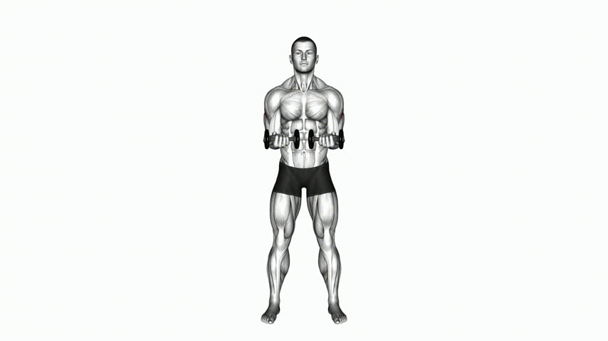 Rotação Externa Escapular em Pé com Halter (Vista Frontal) Costas 1
