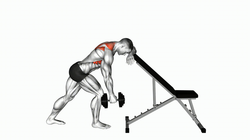Elevação Escapular Unilateral com Halter