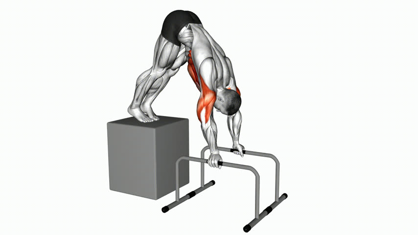 Flexão Pike Elevada com Déficit nas Paralelas