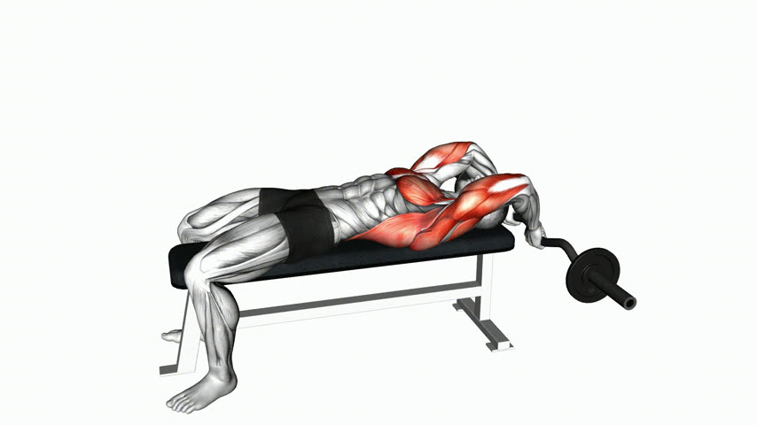 Pullover Deitado com Braços Flexionados com Barra W
