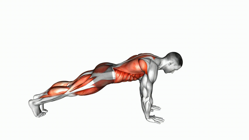 Prancha Frontal com Elevação de Braço e Perna (Posição de Flexão)