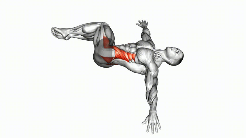 Meio Limpador de Para-brisa (Pernas Flexionadas)