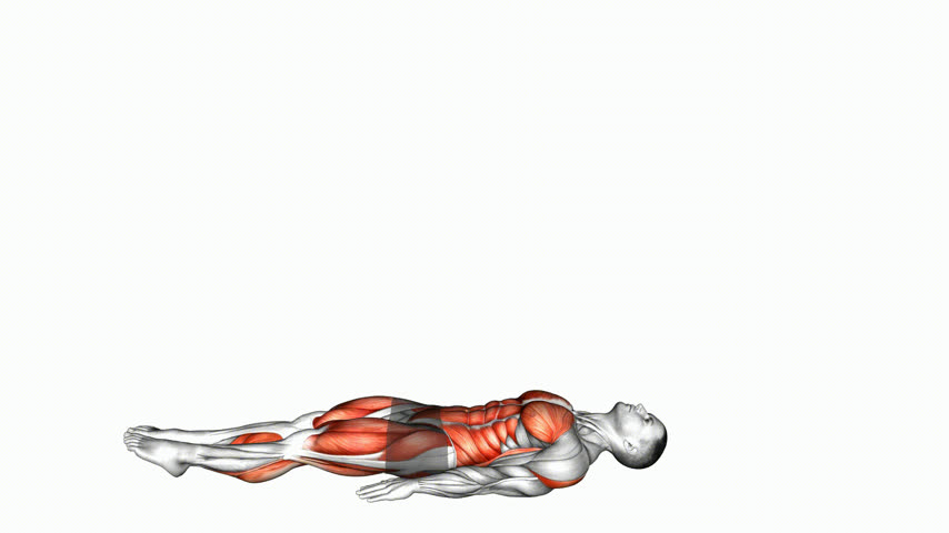 Abdominal Canivete