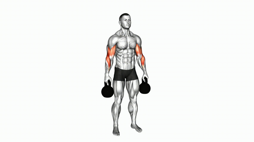 Rosca Inversa Em Pé com Kettlebell