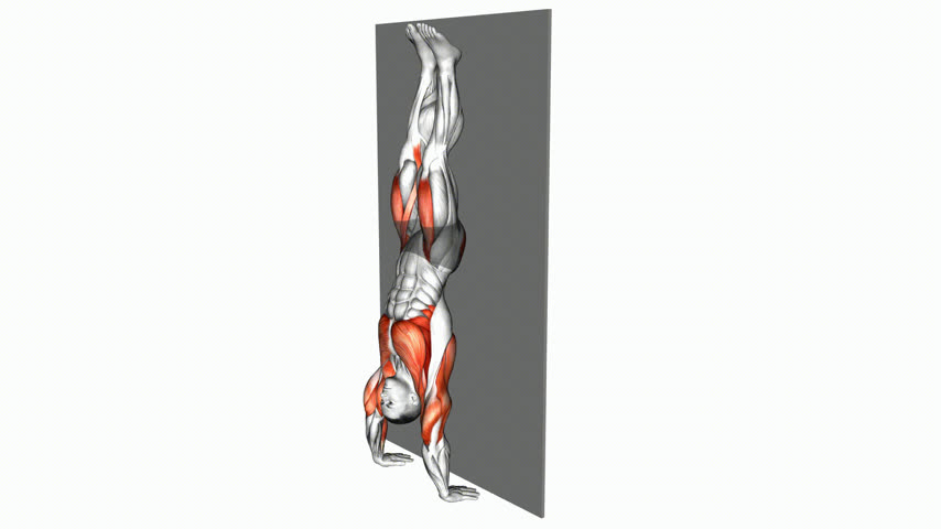 Handstand Push Up com Kipping