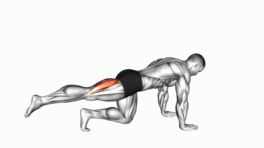 Flexão de Perna Unilateral Ajoelhado