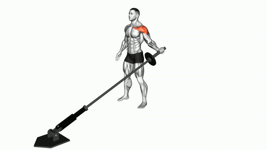 Crucifixo Baixo Lateral Unilateral no Landmine