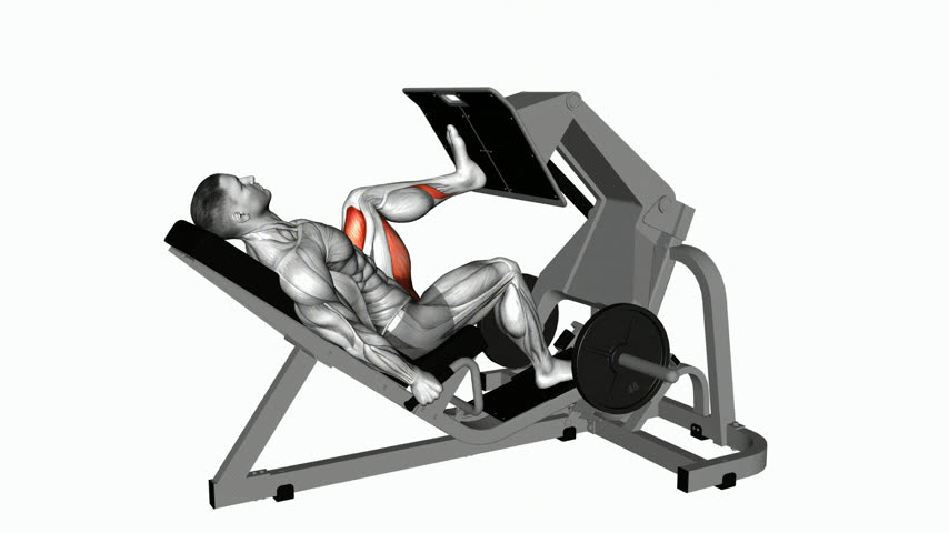 Leg Press 45° Unilateral