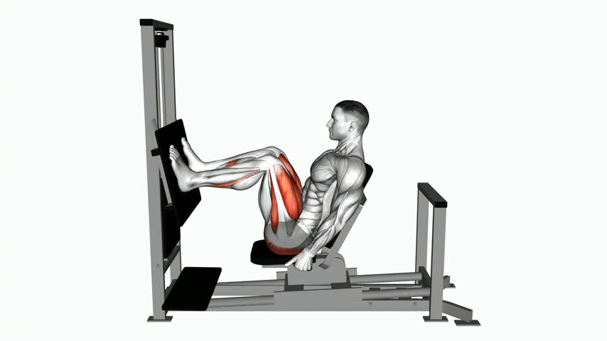 Leg Press Horizontal