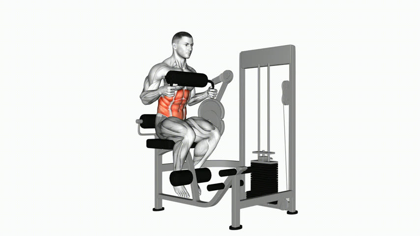 Abdominal Crunch Sentado na Máquina (Apoio de Peito)