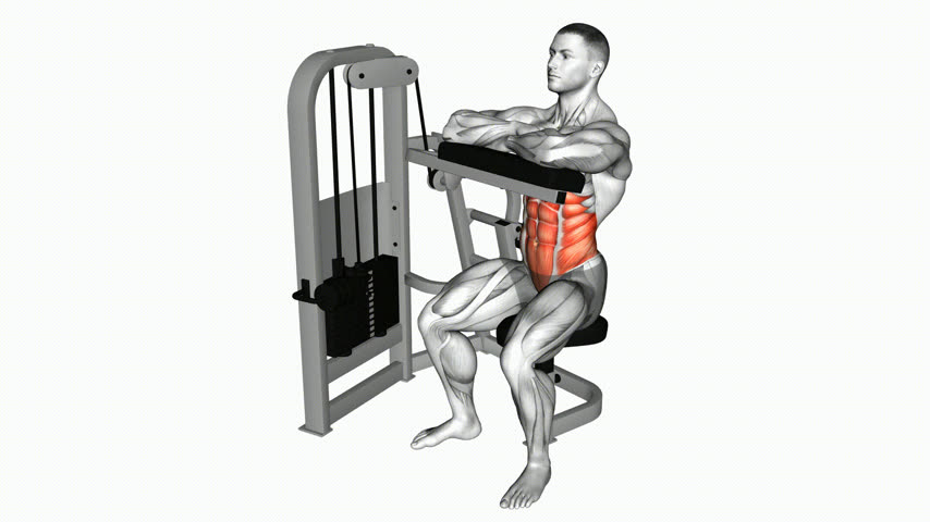 Abdominal Crunch Sentado na Máquina (Apoio para as Mãos)