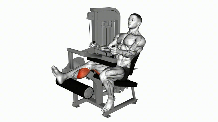 Cadeira Flexora Unilateral