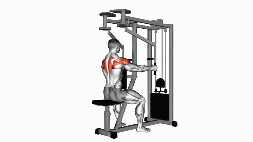 Crucifixo Invertido Sentado na Máquina (Pegada Paralela)