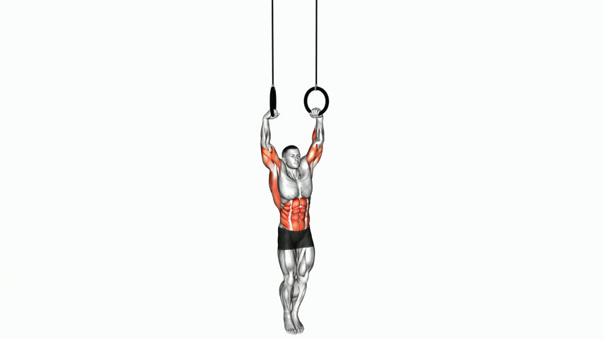 Muscle Up